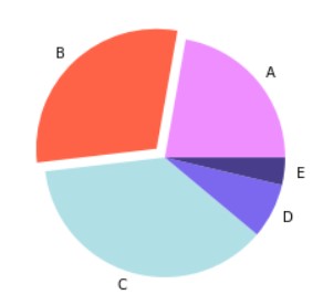 pie chart | data visualization